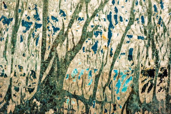 OSSIDAZIONI_CASALI sottobosco