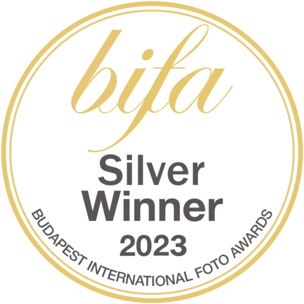 Silver BIFA 2023