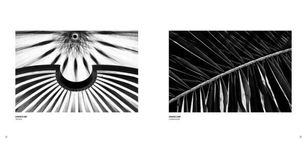 OMBRE E RIFLESSI_GRAFFITI (1)